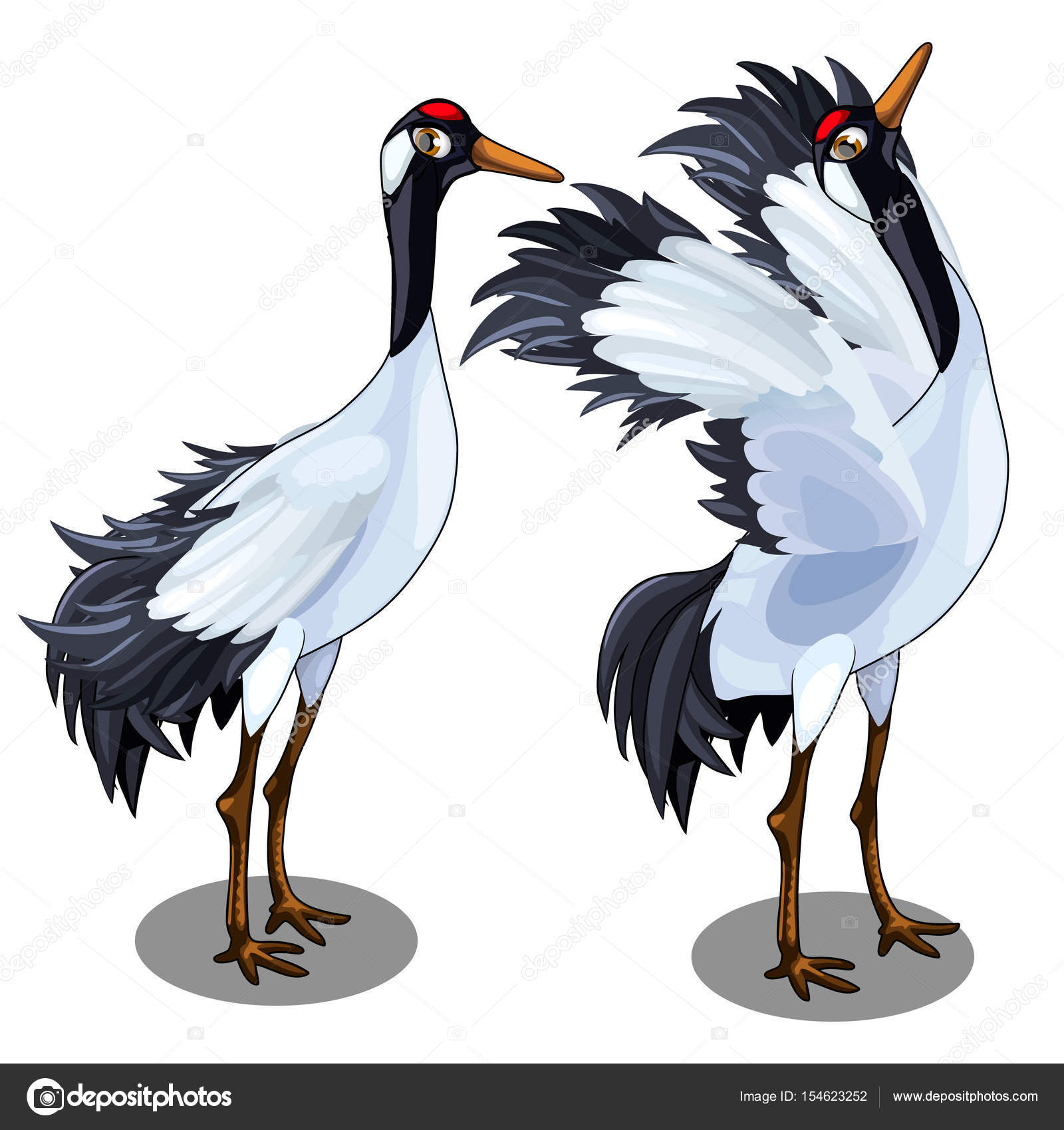 Two images of Japanese crane. Vector bird isolated Stock Vector Image by  ©Anton_Lunkov #154623252