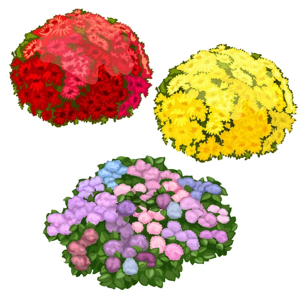 黄色、 粉红色和红色的花床分离 — 图库矢量图片