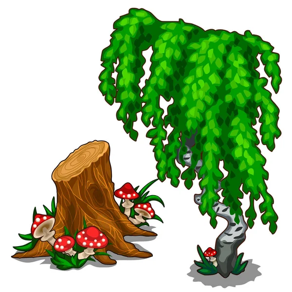 Nyír és amanita stump-től. Vektor növény — Stock Vector