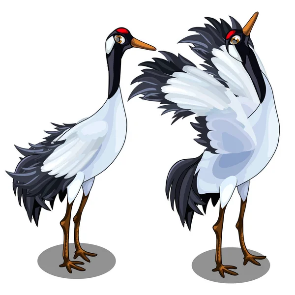 Deux images de grue japonaise. Oiseau vecteur isolé — Image vectorielle