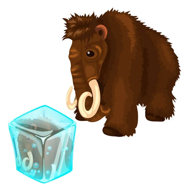 Mamute desgrenhado e ele copiar congelado em cubo de gelo —  Vetores de Stock