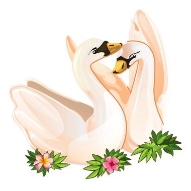 Aşk, iki kuğu ihale vektör kartpostal