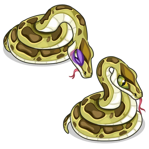 Ensemble de deux pythons maillés, l'un mauvais, l'autre malade — Image vectorielle