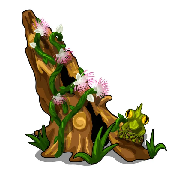 Stump recouvert de plantes, fleurs, herbe et crapaud — Image vectorielle