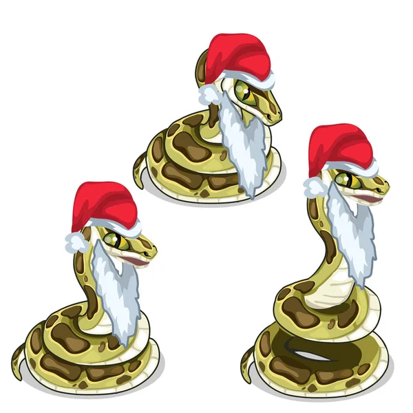 Змея в шапке и борода Санта Клауса. Вектор — стоковый вектор