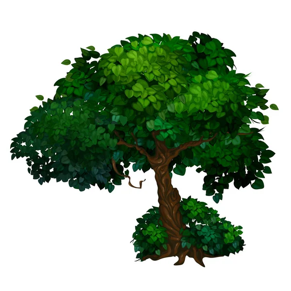 Bükülmüş gövde ve yaprakları yeşil taç ile ağacı