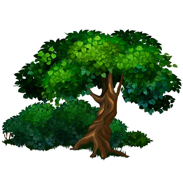 Grande quercia arborea. Natura, foresta, ecologia — Vettoriale Stock