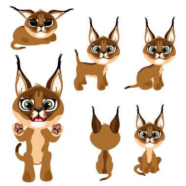 Karikatür kahverengi yavru kedi veya lynx farklı teşkil etmektedir. Vektör çizim karikatür tarzı animasyon, Oyunlar, hayvan hastalıklarıyla ilgili projeler, çocuk kitapları ve diğer tasarım ihtiyaçları için beyaz arka plan üzerinde