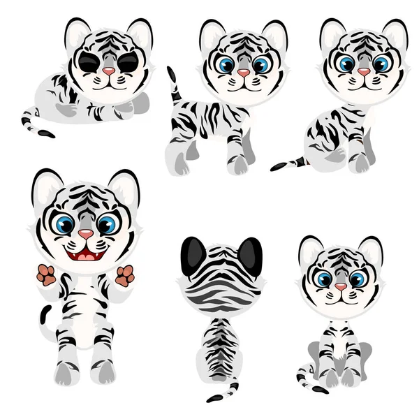 Randiga grå tiger cub i olika poser. Vektorillustration i tecknad stil på vit bakgrund för animering, spel, veterinärmedicinska projekt, barnböcker och andra designbehov — Stock vektor
