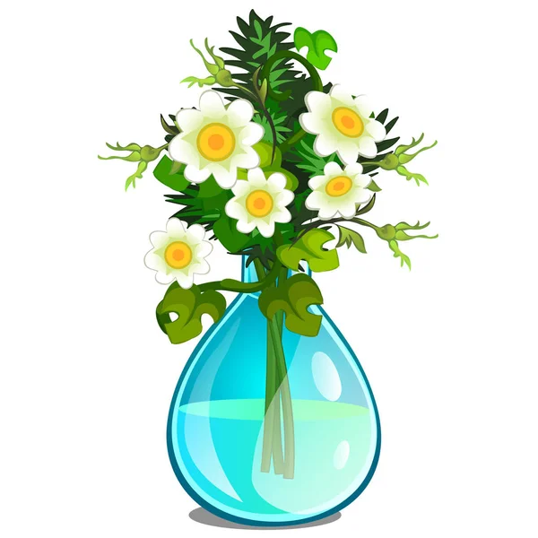 Cam Vazoda beyaz papatyalardan buket. Beyaz arka plan üzerinde izole karikatür tarzı resimde vektör