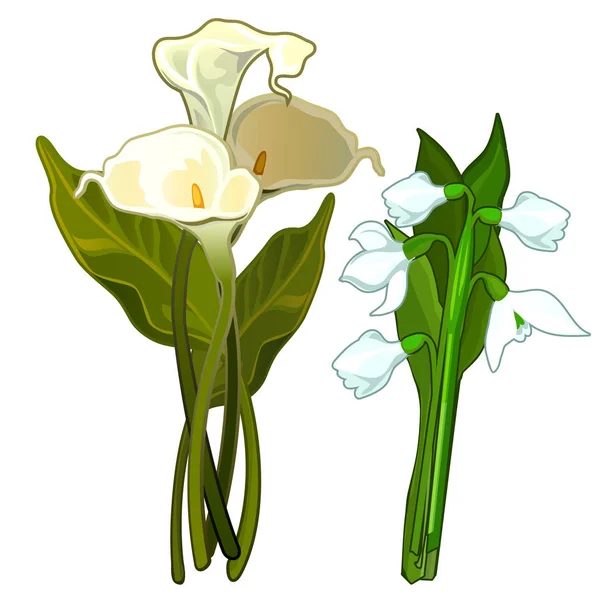 White Calla e snowdrops, buquê de flores. Imagem vetorial em estilo cartoon. Ilustração isolada sobre fundo branco —  Vetores de Stock