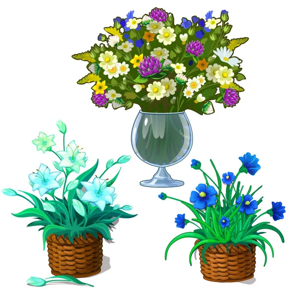 Tres imágenes de plantas de interior en maceta y ramo de flores silvestres en jarrón de vidrio. Set de flores botánicas. Ilustración vectorial en estilo de dibujos animados aislados sobre fondo blanco — Archivo Imágenes Vectoriales