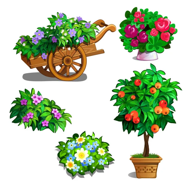 Carro con flores, naranjos, rosas y algunos ramos de flores silvestres. Conjunto botánico de cinco imágenes. Ilustración vectorial en estilo de dibujos animados aislados sobre fondo blanco — Archivo Imágenes Vectoriales