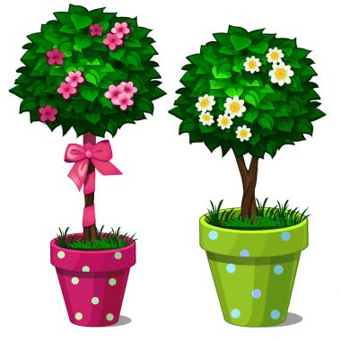 İki dekoratif bonsai ağacı çiçek yeşil ve pembe tencere ile. Beyaz arka plan üzerinde izole karikatür tarzı resimde vektör