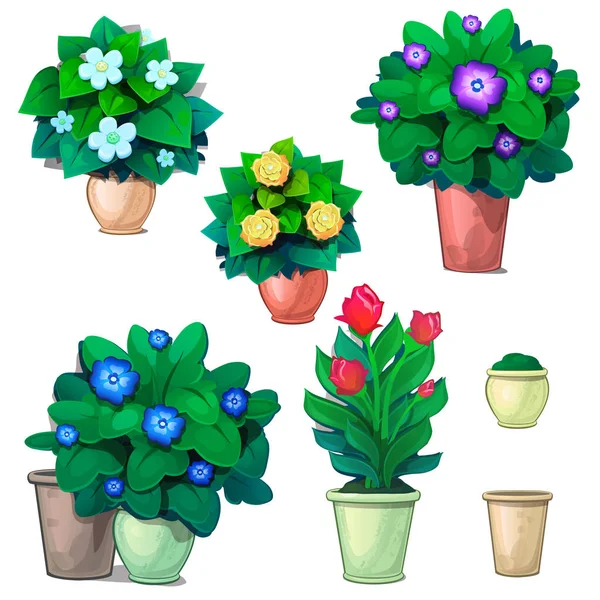 Het aantal decoratieve planten in potten en rode tulpen. Vector illustratie bloemen in cartoon stijl geïsoleerd op witte achtergrond — Stockvector