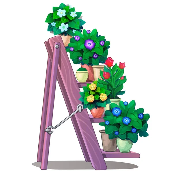 Σετ διακοσμητικά φυτά σε γλάστρες στα ράφια των σκαλοπατιών. Vector εικονογράφηση λουλούδια σε στυλ καρτούν που απομονώνονται σε λευκό φόντο — Διανυσματικό Αρχείο