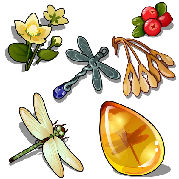 Llavero libélula, ámbar insecto, flor y baya roja. Set natural de seis iconos aislados sobre fondo blanco. Ilustración vectorial en estilo de dibujos animados — Archivo Imágenes Vectoriales