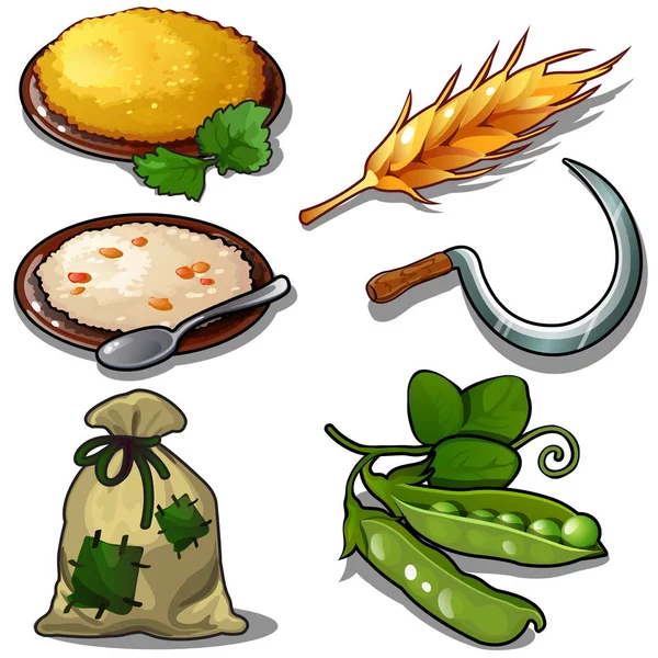 Harvest set - porridge, raw green peas, sack of grain. Natural and food thematic six icons isolated on white background. Vector illustration in cartoon style — Stock Vector