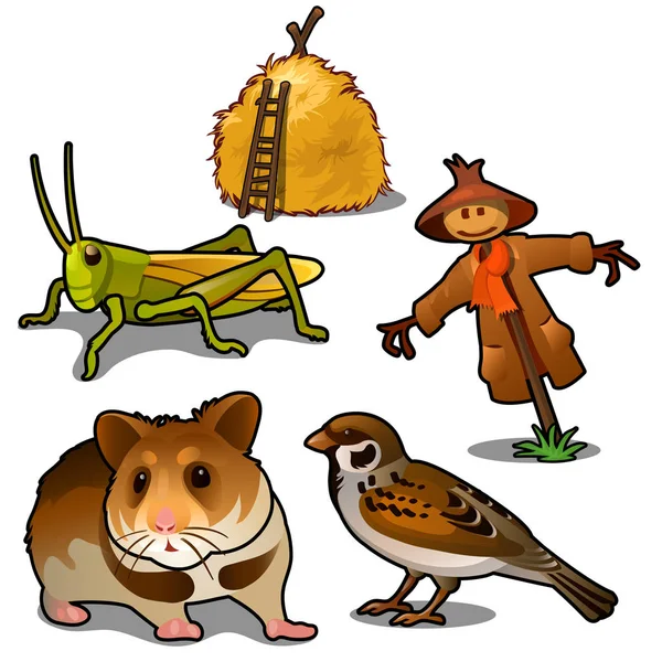 Gräshoppa, mus, sparv, Fågelskrämman och höstack. Insekter, djur i jordbruket. Naturliga tematiska fem ikoner isolerad på vit bakgrund. Vektorillustration i tecknad stil — Stock vektor