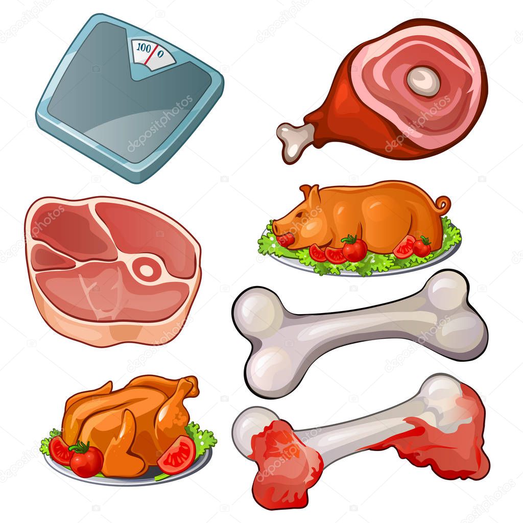 Meat set - pieces of raw meat, scales, bones, cooked pig and chicken with vegetables. Vector food collection of seven images. Cuisine product isolated on white. Vector illustration in cartoon style