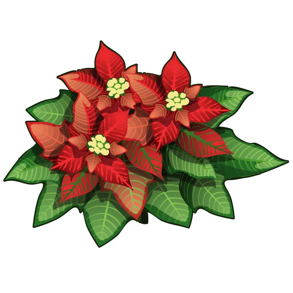 Flores rojas con hojas verdes. Vector aislado — Vector de stock