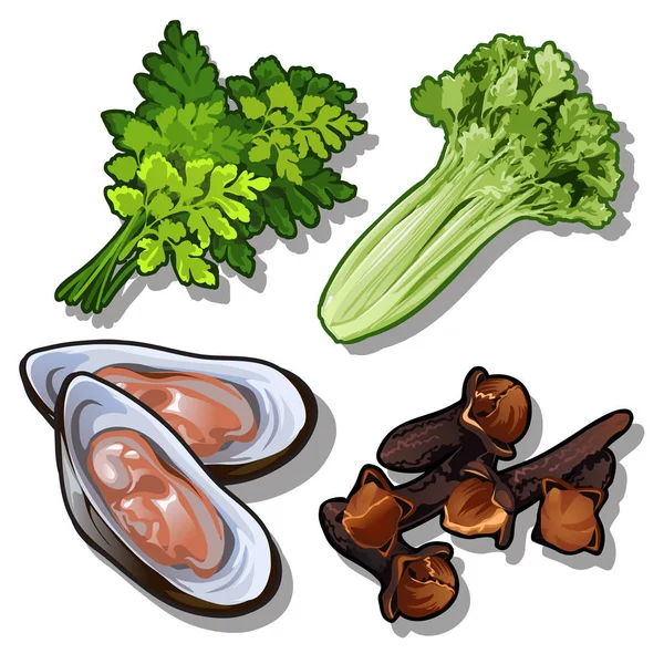 Dill, Salat, Austern und Nelken. Sammlung guter und gesunder Produkte. Vektornahrung. Bild im Cartoon-Stil. Illustration isoliert auf weißem Hintergrund — Stockvektor