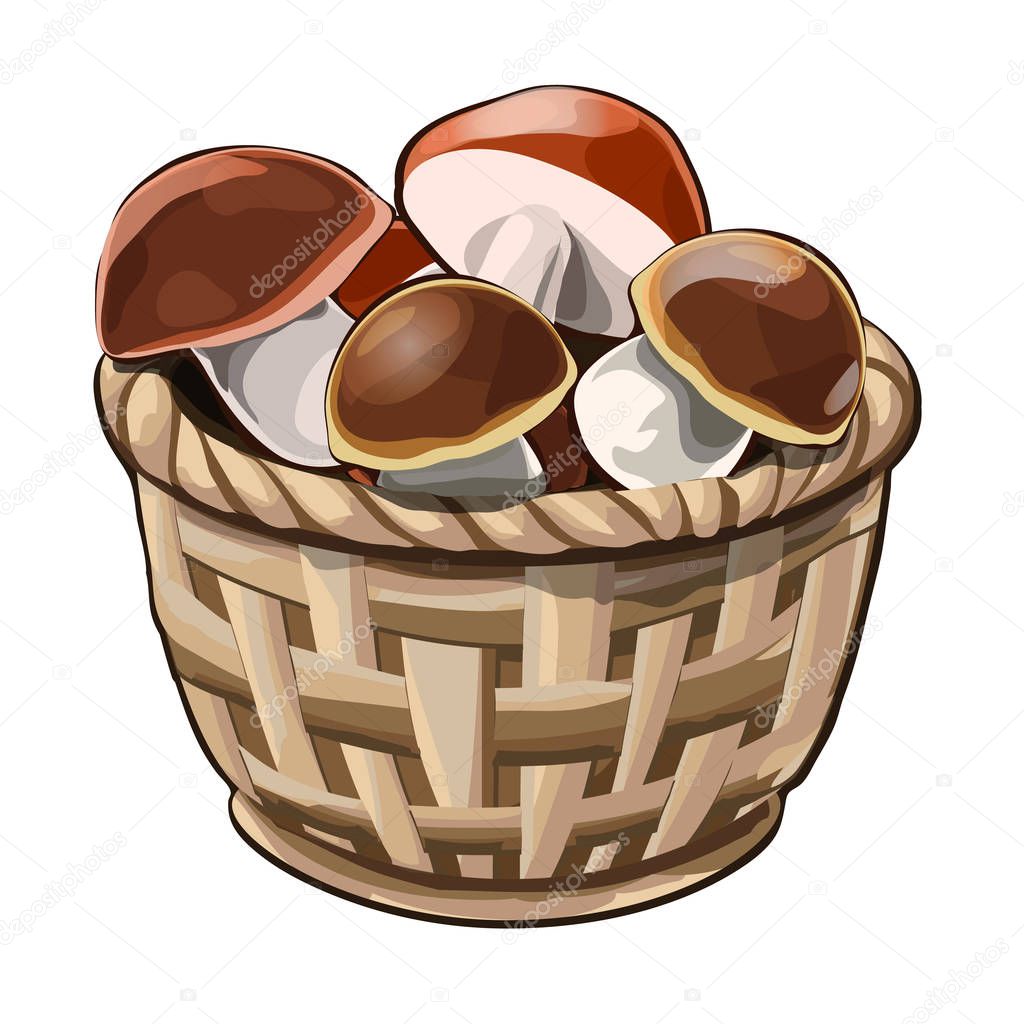 Wicker basket with mushrooms. Image in cartoon style. Vector illustration isolated