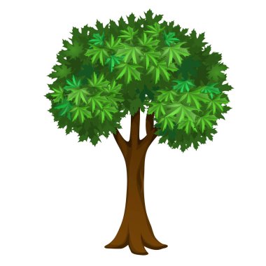 Beyaz arka planda yeşil yapraklı akçaağaç. Vektör karikatürü yakın çekim illüstrasyonu.