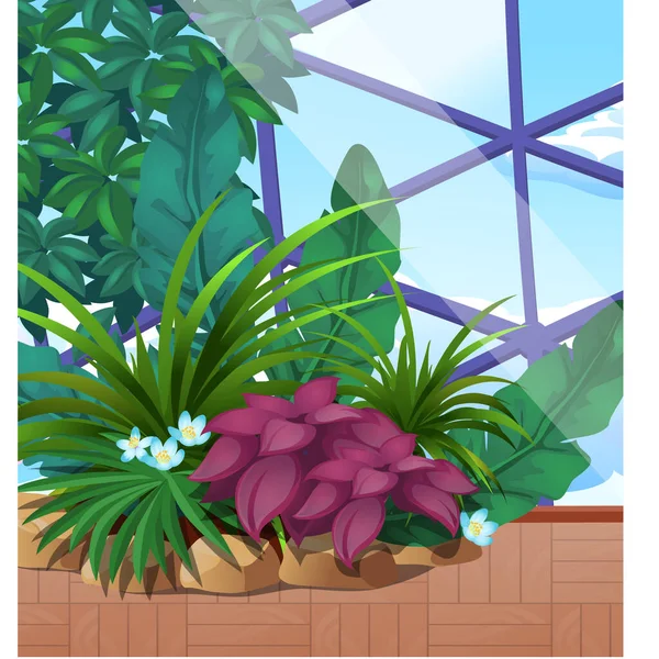 Jardim artificial de fábricas tropicais abaixo de uma cúpula de vidro. Cartaz sobre o tema da natureza. Cultivando plantas na estufa. Desenhos animados vetoriais ilustração close-up . —  Vetores de Stock