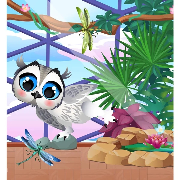 在温室里用奇异的植物和蜻蜓可爱的猫头鹰。以自然为主题的招贴画。矢量漫画特写说明. 免版税图库插图