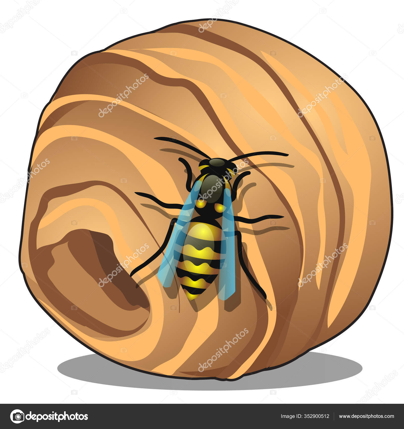 The hornet or wasp nest, vespiary isolated on white background. A hive of  wild forest bees. Vector cartoon close-up illustration. Stock Vector by  ©Anton_Lunkov 352900512, image size:1600x1700