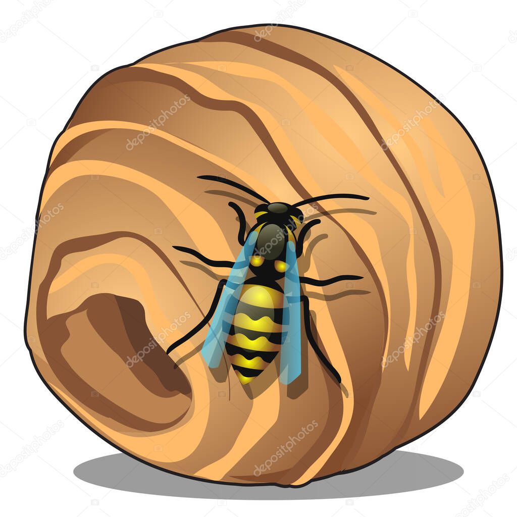 The hornet or wasp nest, vespiary isolated on white background. A hive of wild forest bees. Vector cartoon close-up illustration.
