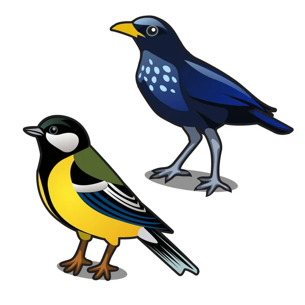 Bird blue tit and jackdaw isolated on white background. Vector cartoon close-up illustration. — 图库矢量图片