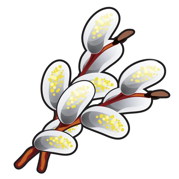 Twig bloeiende wilg geïsoleerd op witte achtergrond. Vector cartoon close-up illustratie. — Stockvector