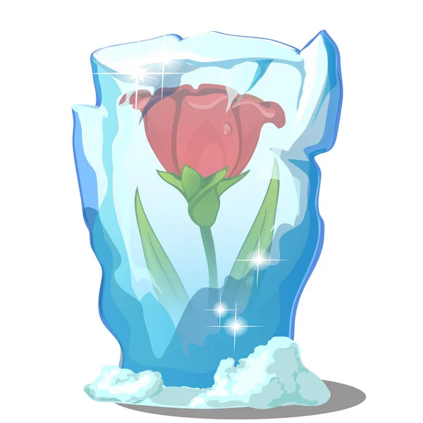 Flor roja congelada en hielo aislada sobre un fondo blanco. ilustración de primer plano de dibujos animados vectoriales . Ilustraciones de stock libres de derechos