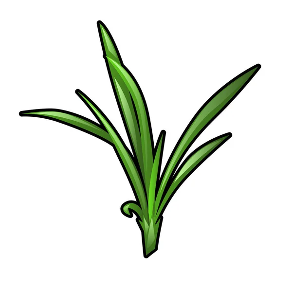 Plántulas de hierba verde aisladas sobre fondo blanco. ilustración de primer plano de dibujos animados vectoriales . — Vector de stock