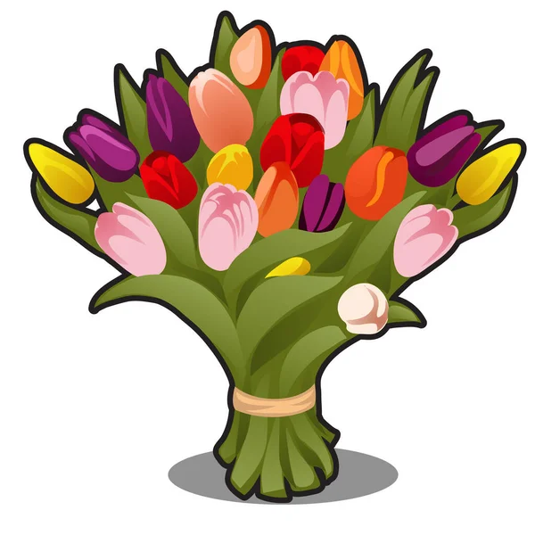 Kytice pestrobarevných tulipánů izolovaných na bílém pozadí. Vektorový kreslený obrázek zblízka. — Stockový vektor