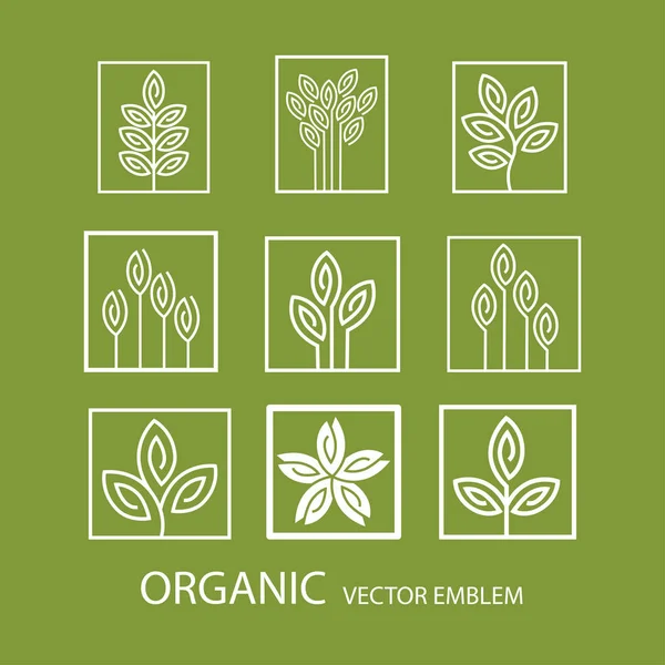 Vektör soyut organik amblemi, anahat monogram, çiçek simgesi ayarla — Stok Vektör