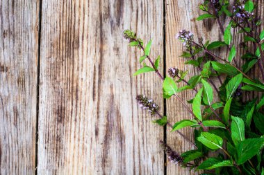 Ahşap Rustik zemin üzerine nane çiçekler