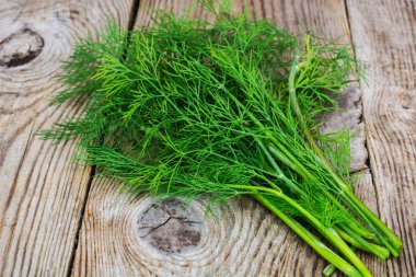 Ahşap rustik arka plan üzerinde sulu taze dereotu