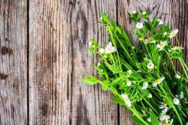 Helenium çiçek ahşap Rustik arka plan üzerinde