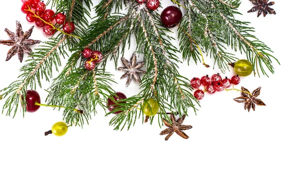 Abstrakte Weihnachten natürlichen Hintergrund in weiß — Stockfoto