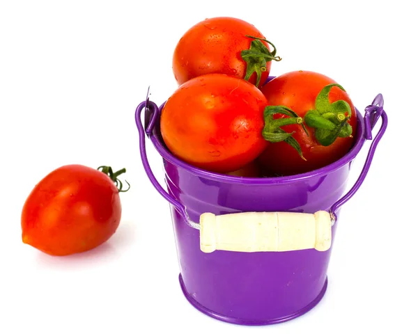 Tomate rouge et verte sur fond blanc — Photo