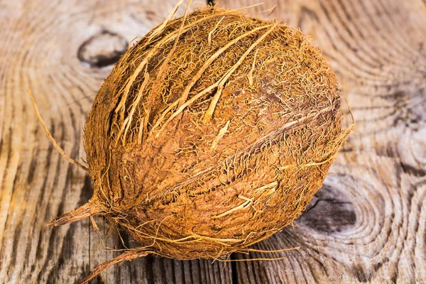 Grote bruine rijpe kokosnoot — Stockfoto