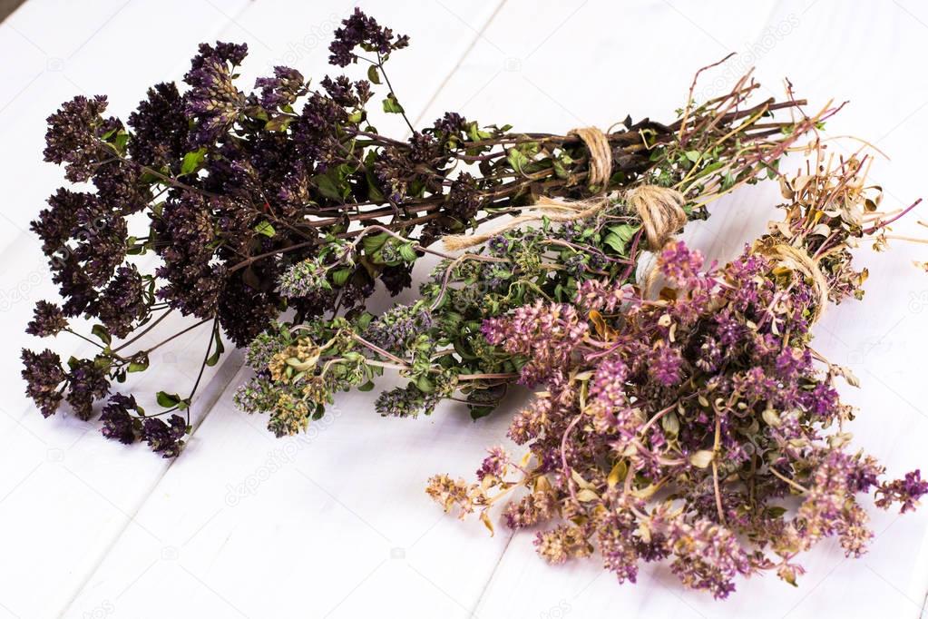 Dried Flowers and Stems of Thyme