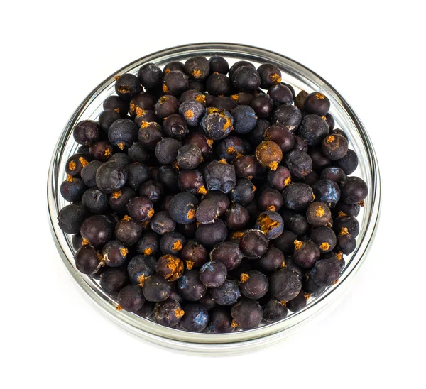 Juniper in a Glass Bowl on White — Stock Photo, Image