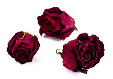 Beyaz arka plan üzerinde izole kuru gevşek çay ebegümeci