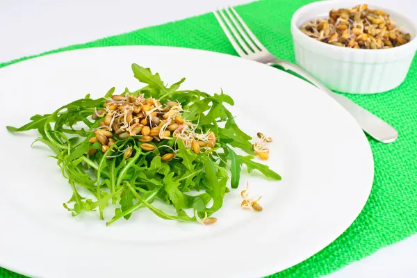 Salada de Arugula e mudas de centeio — Fotografia de Stock
