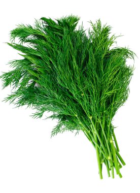 Beyaz arka plan üzerinde izole sulu taze dereotu