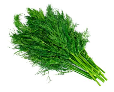 Beyaz arka plan üzerinde izole sulu taze dereotu